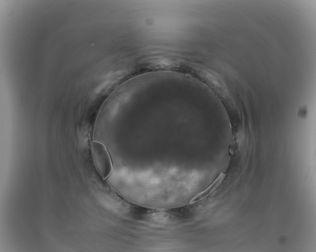 X0000092060423200709191146