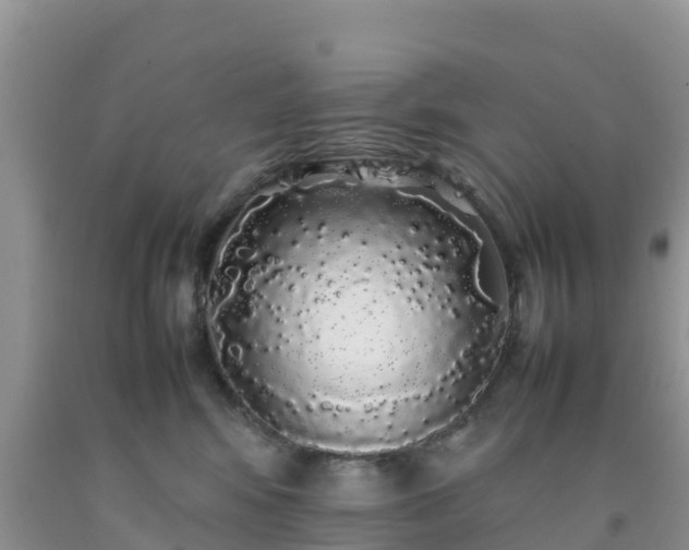 X0000092060424200709191146