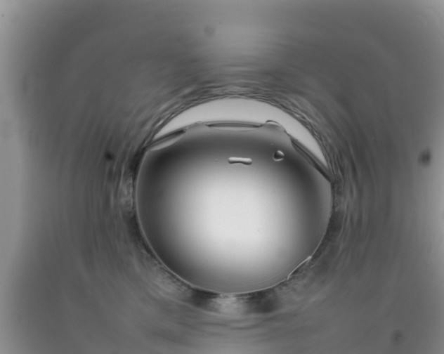 X0000092060425200709191146