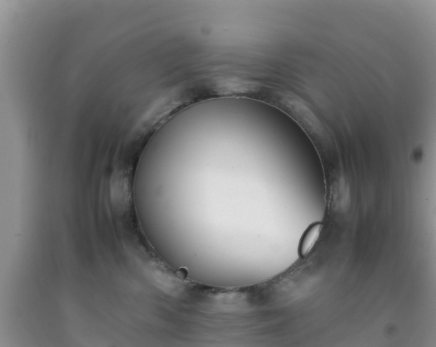 X0000092060426200709191146