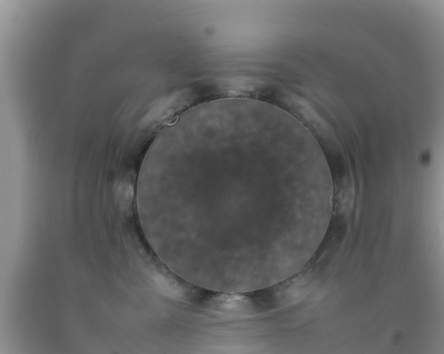 X0000092060427200709191146