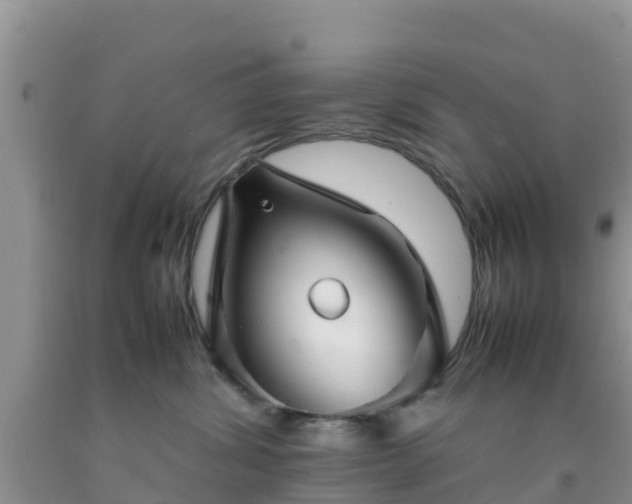 X0000092060428200709191146