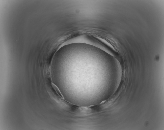 X0000092060429200709191146