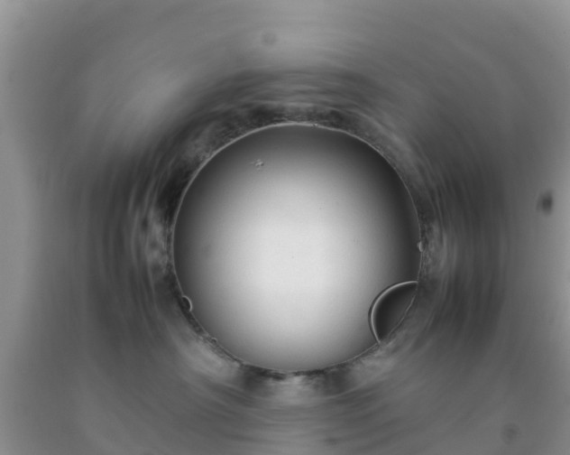 X0000092060430200709191146