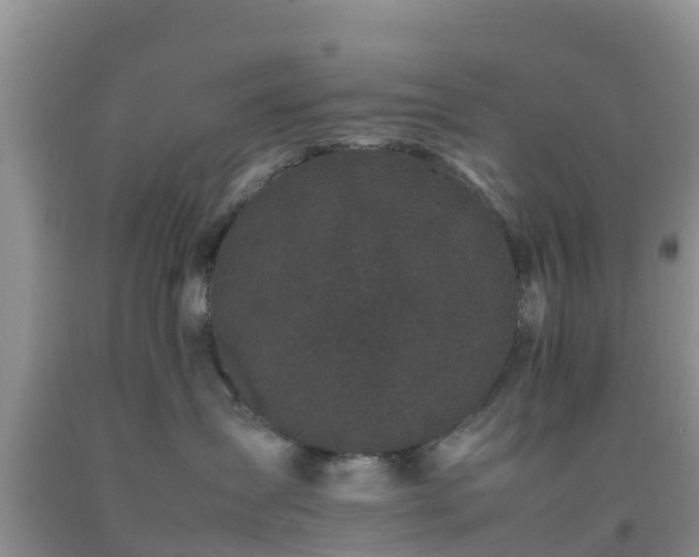 X0000092060431200709191146