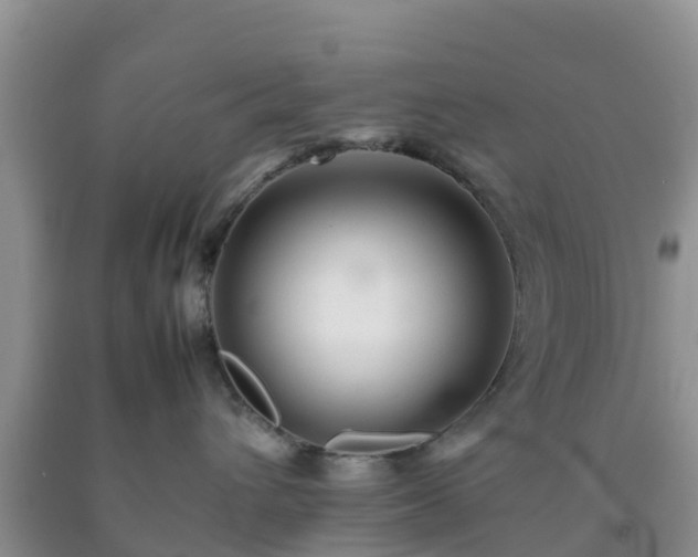 X0000092060432200709191146