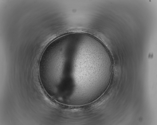 X0000092060433200709191145