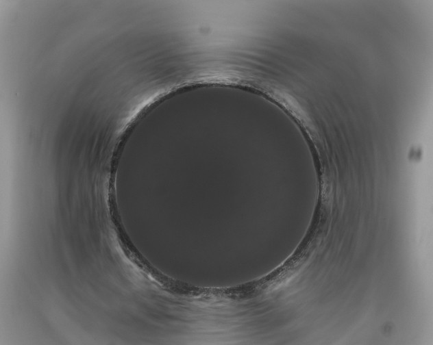 X0000092060434200709191145