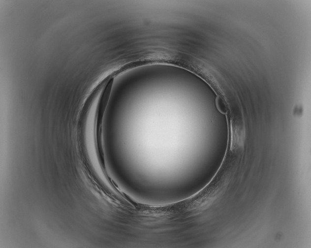 X0000092060435200709191145