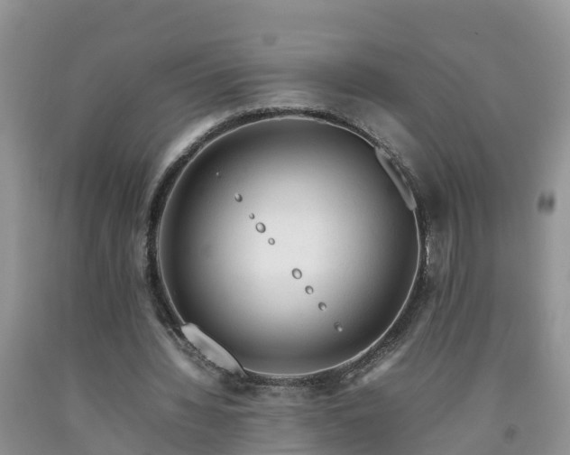 X0000092060436200709191145