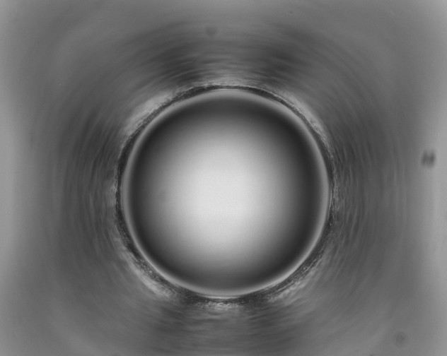 X0000092060437200709191145