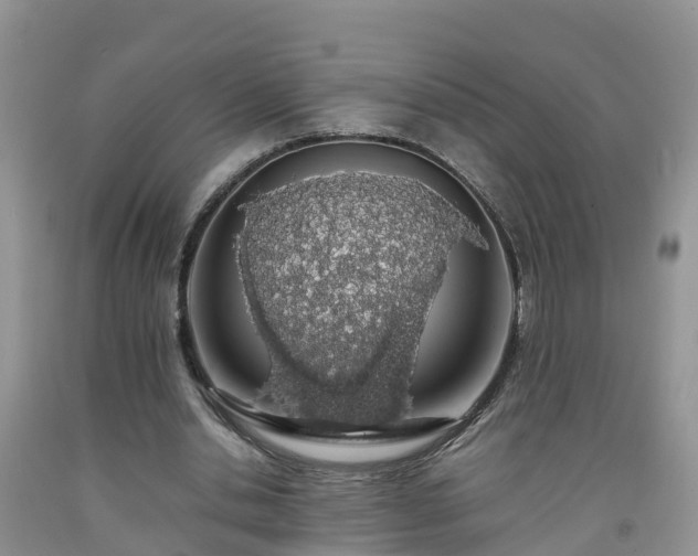 X0000092060438200709191145