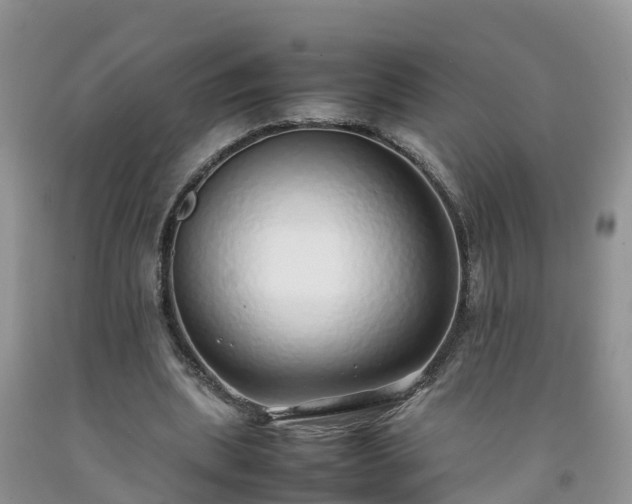 X0000092060439200709191145