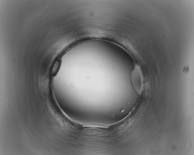 X0000092060440200709191145