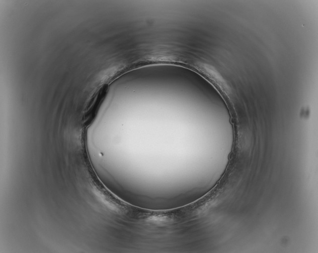 X0000092060441200709191145