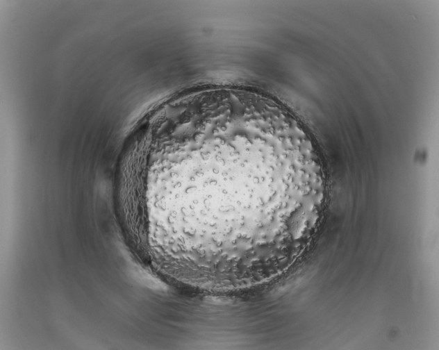 X0000092060442200709191145