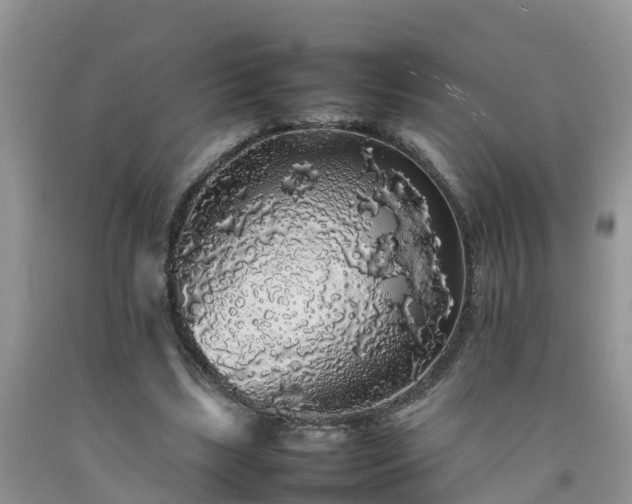 X0000092060443200709191145