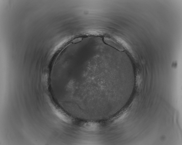 X0000092060444200709191145