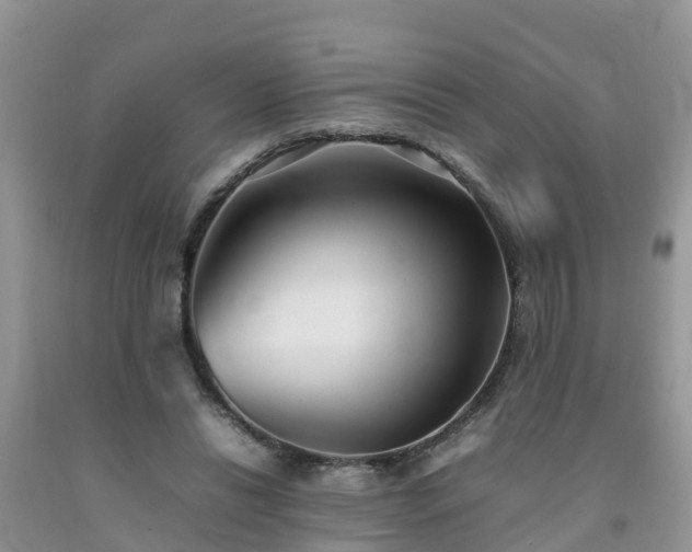 X0000092060446200709191145