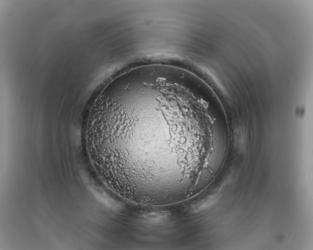 X0000092060447200709191145