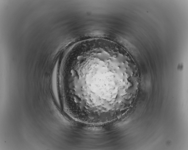 X0000092060449200709191145