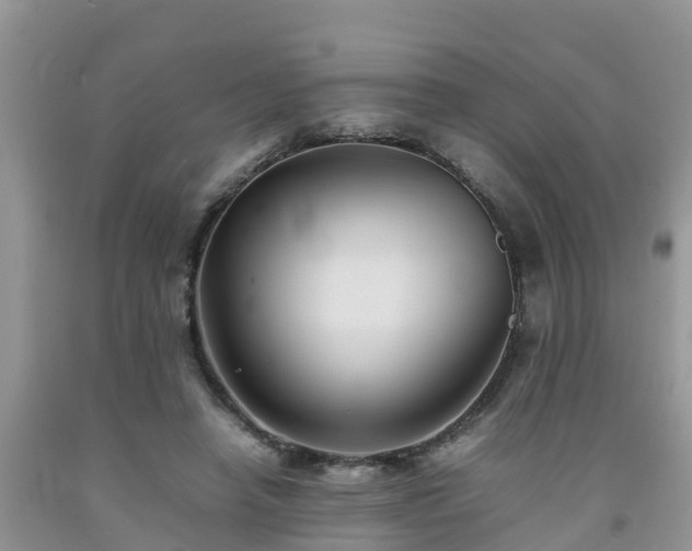 X0000092060450200709191145