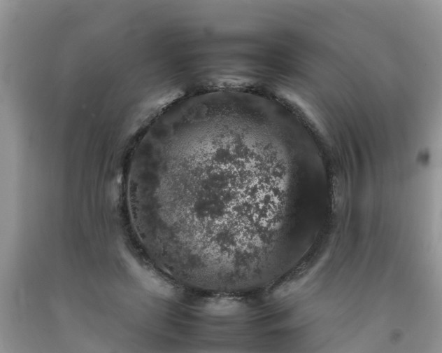 X0000092060451200709191145