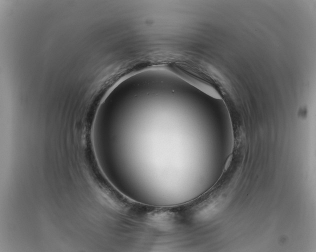 X0000092060452200709191145