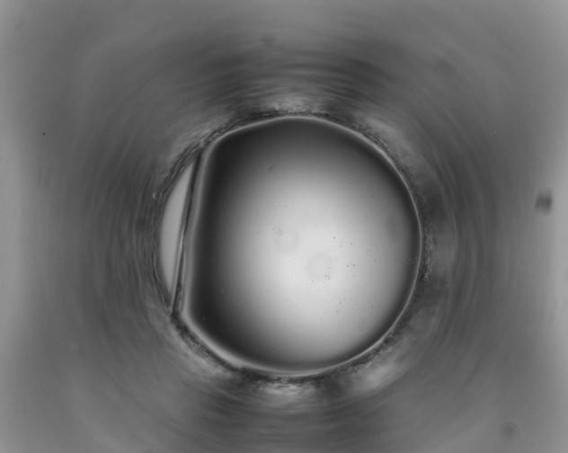 X0000092060453200709191145