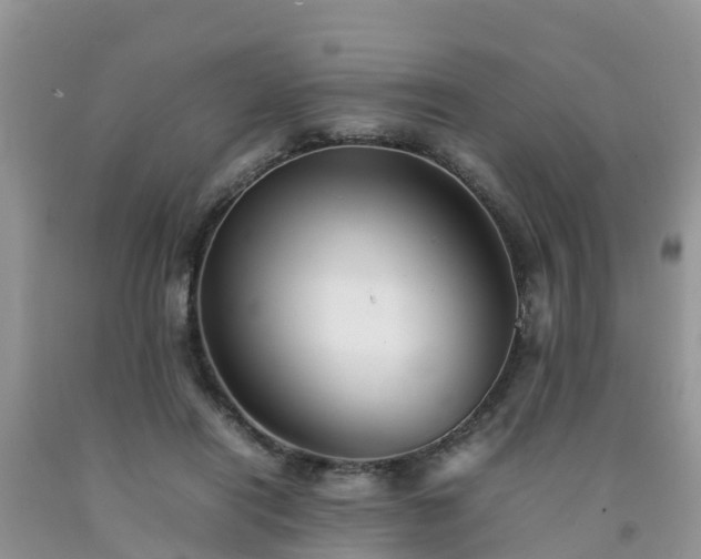 X0000092060454200709191145