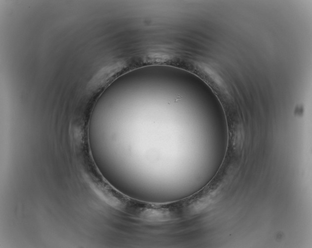 X0000092060455200709191145