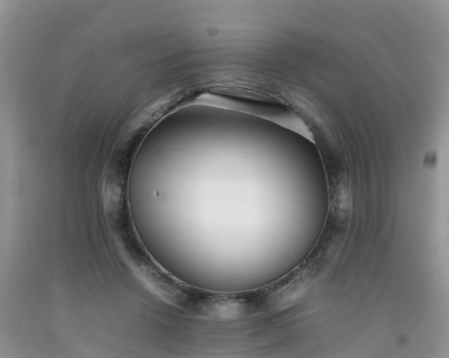 X0000092060456200709191145