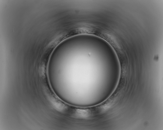 X0000092060457200709191145