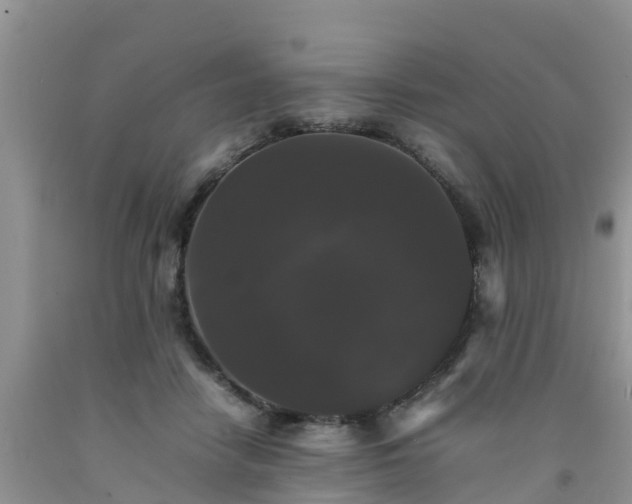 X0000092060458200709191145