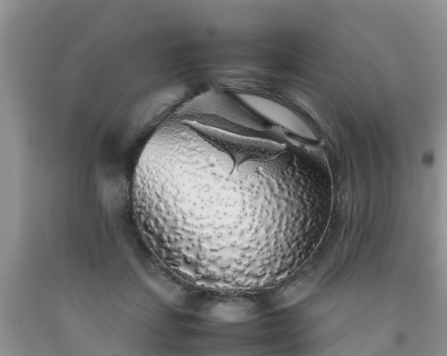 X0000092060459200709191145