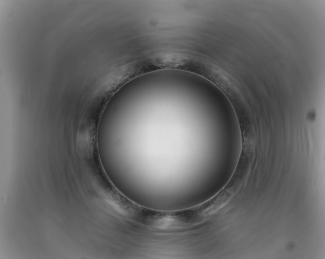 X0000092060460200709191145