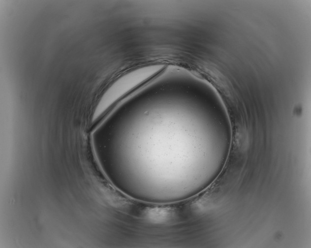 X0000092060461200709191145