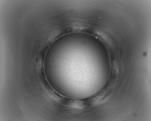 X0000092060463200709191145