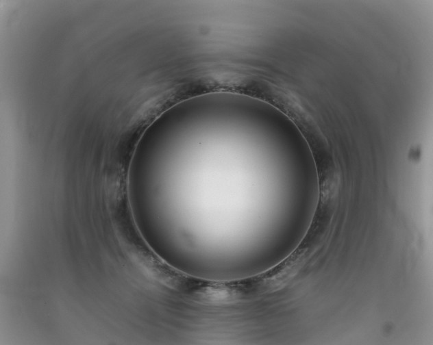 X0000092060464200709191145