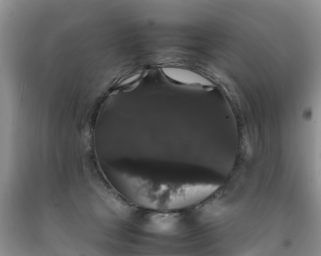 X0000092060465200709191145