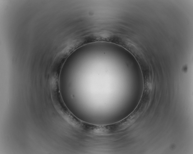 X0000092060468200709191145