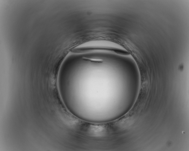 X0000092060469200709191145