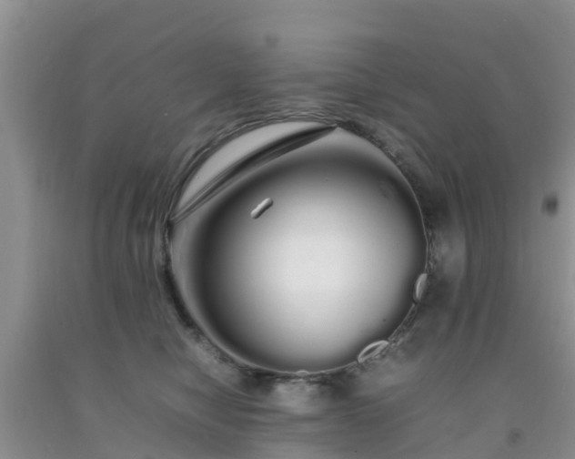 X0000092060470200709191145