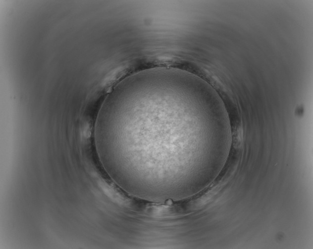 X0000092060472200709191145