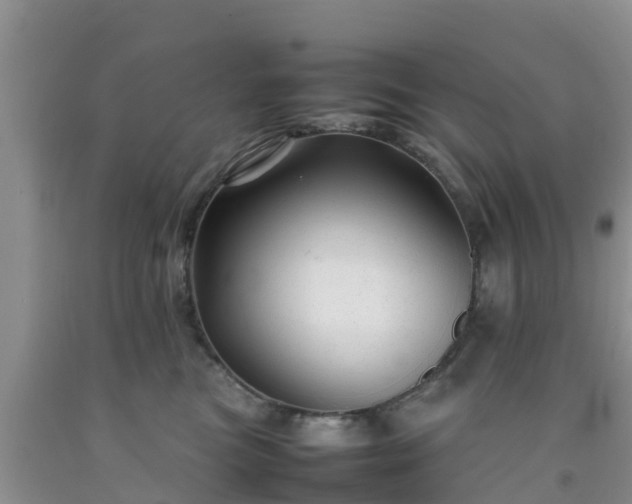 X0000092060473200709191145