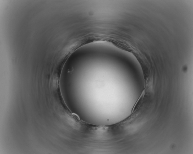 X0000092060474200709191145