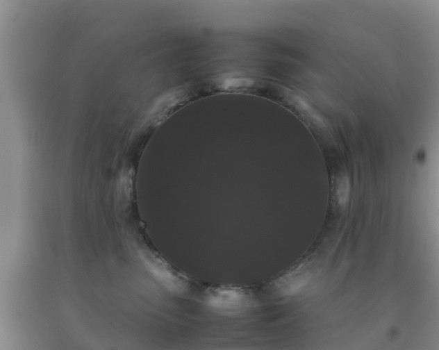 X0000092060475200709191145