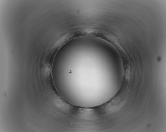 X0000092060476200709191145