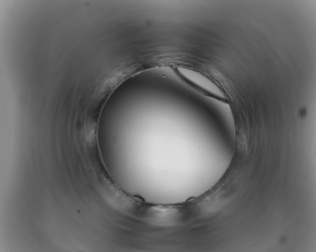 X0000092060477200709191145