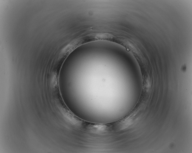 X0000092060478200709191145